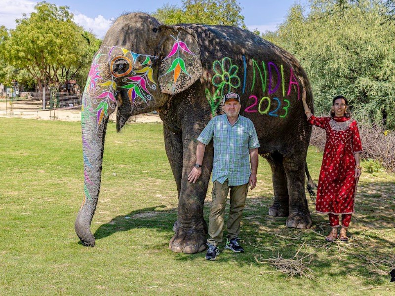 Golden triangle tour Elephants